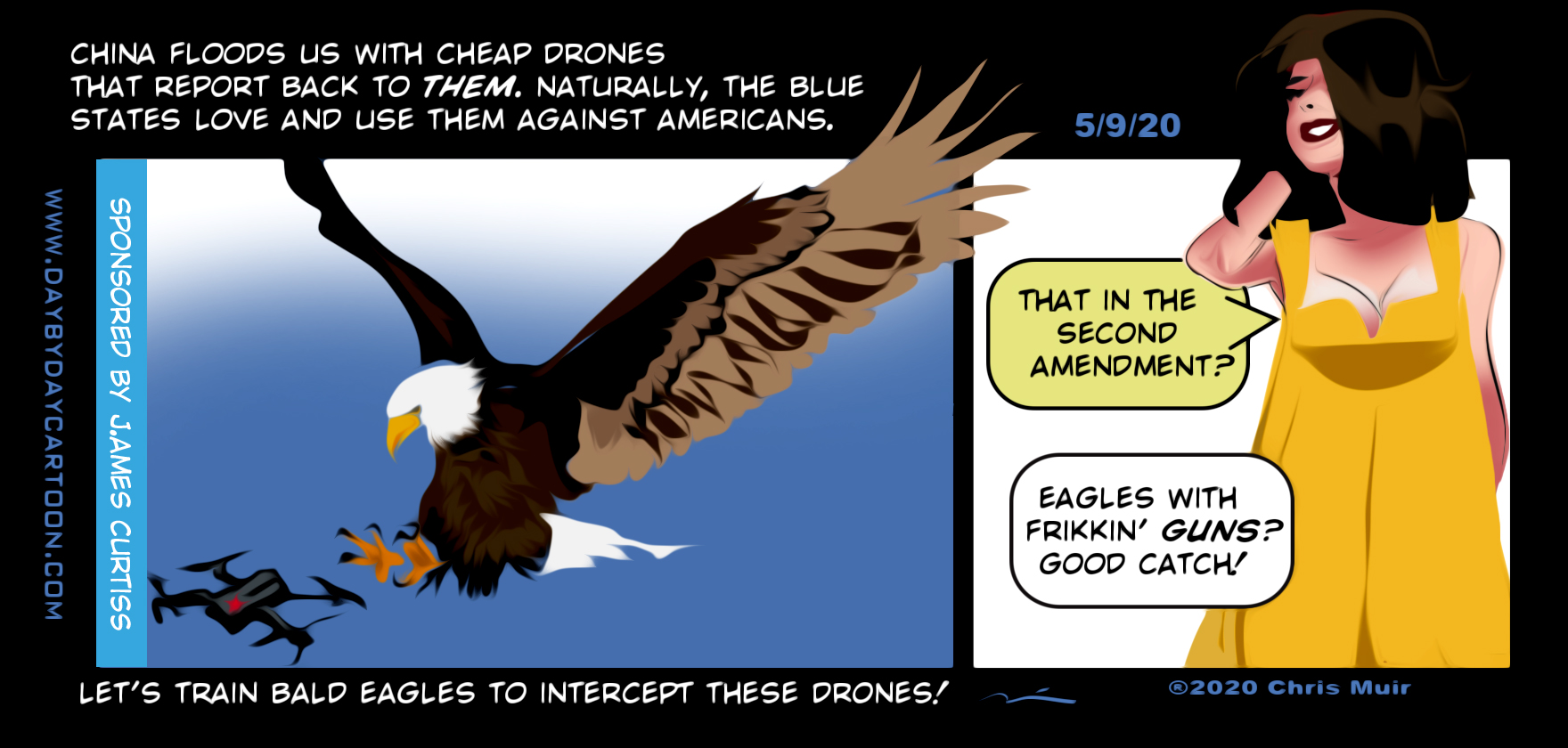 Eagles with Frikkin Guns.
www.daybydaycartoon.com